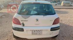 بیجۆ 307